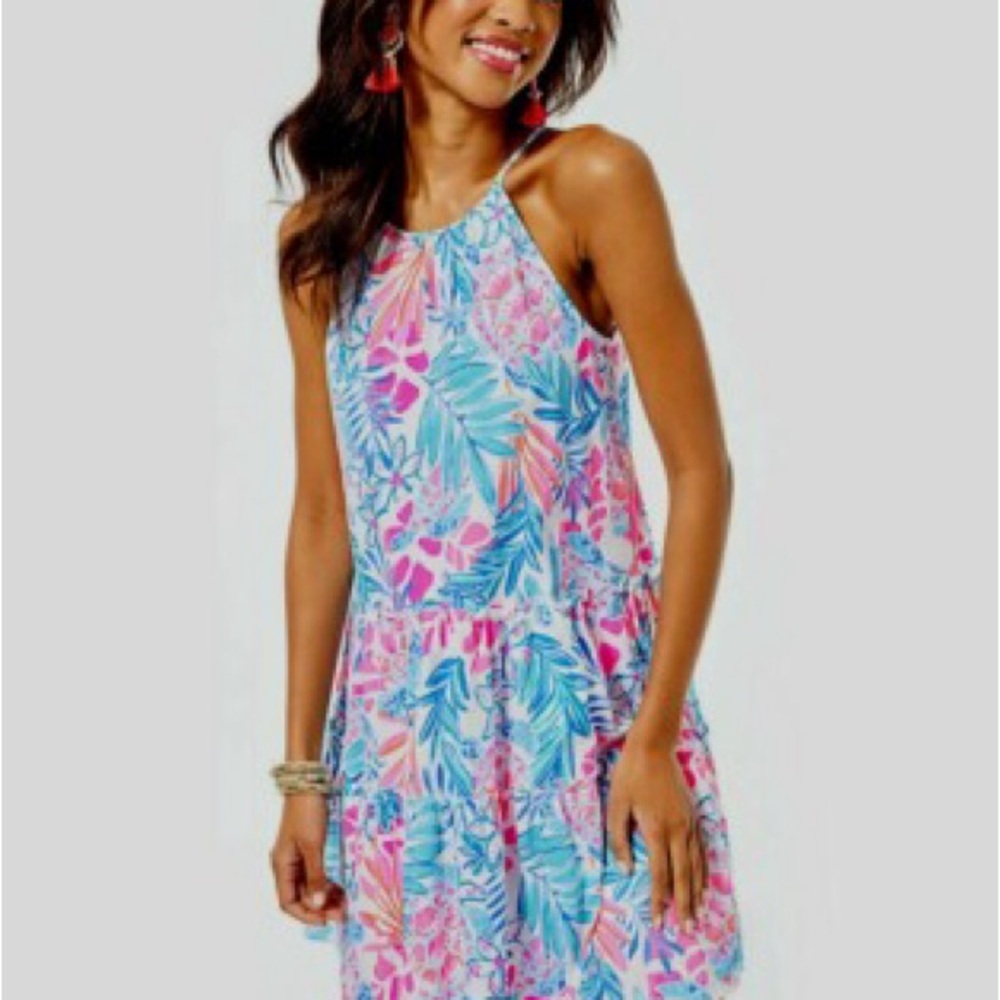 Lilly Pulitzer Evelyn Swing dress, size L, NWT